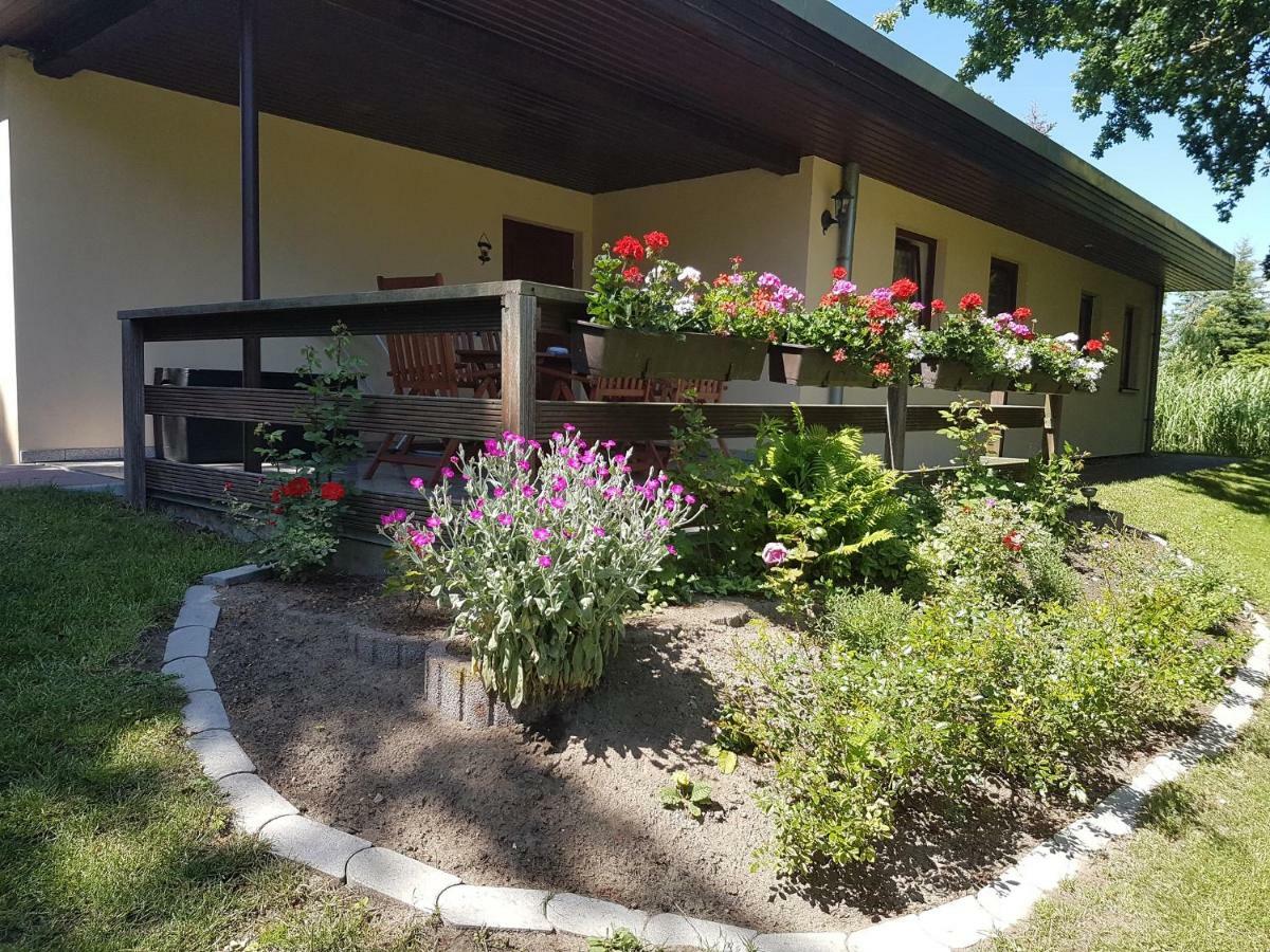 Appartamento Ferienwohnanlage "Am Bernsteinsee" Dierhagen Esterno foto